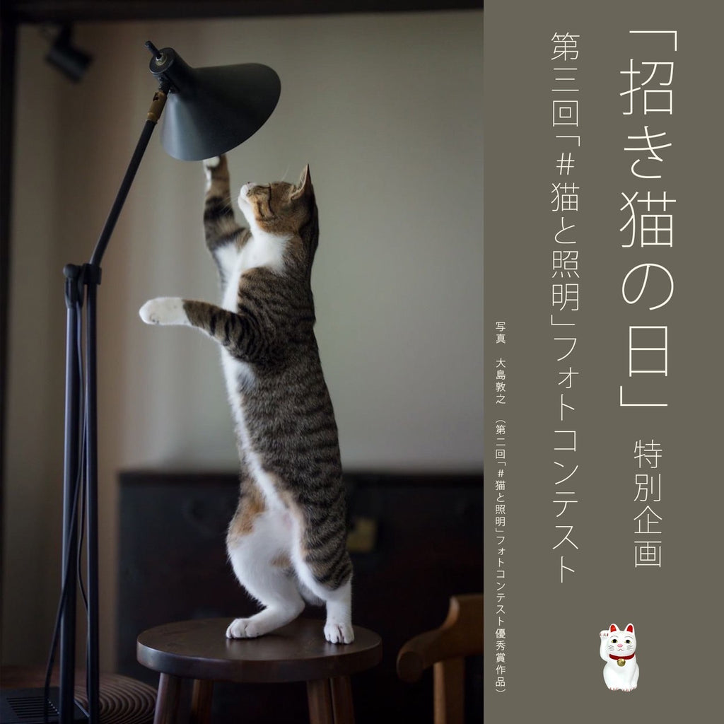 まねきねこの日特別企画【第3回 フォトコンテスト開催!!