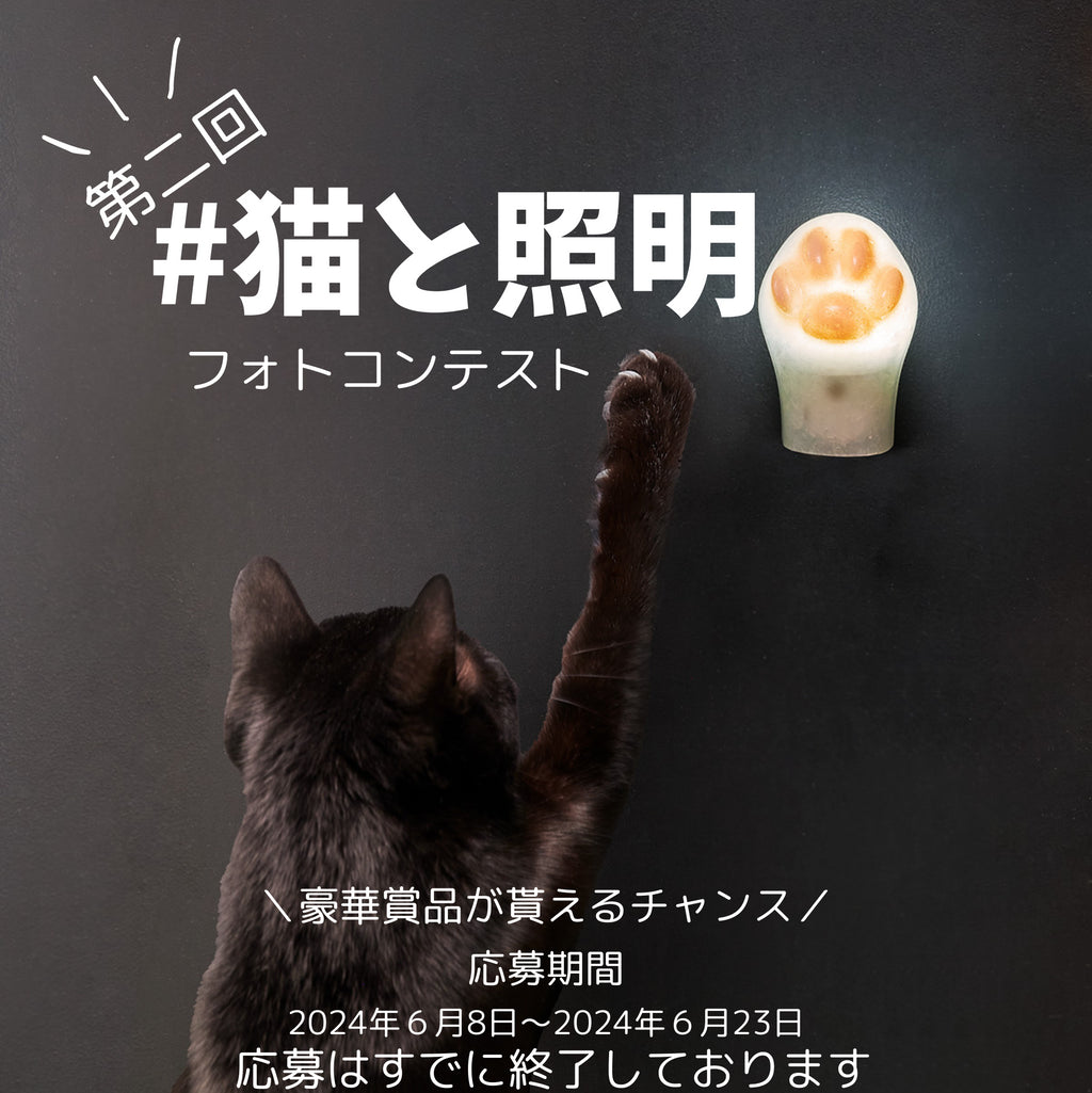 第2回#猫と照明 フォトコンテスト