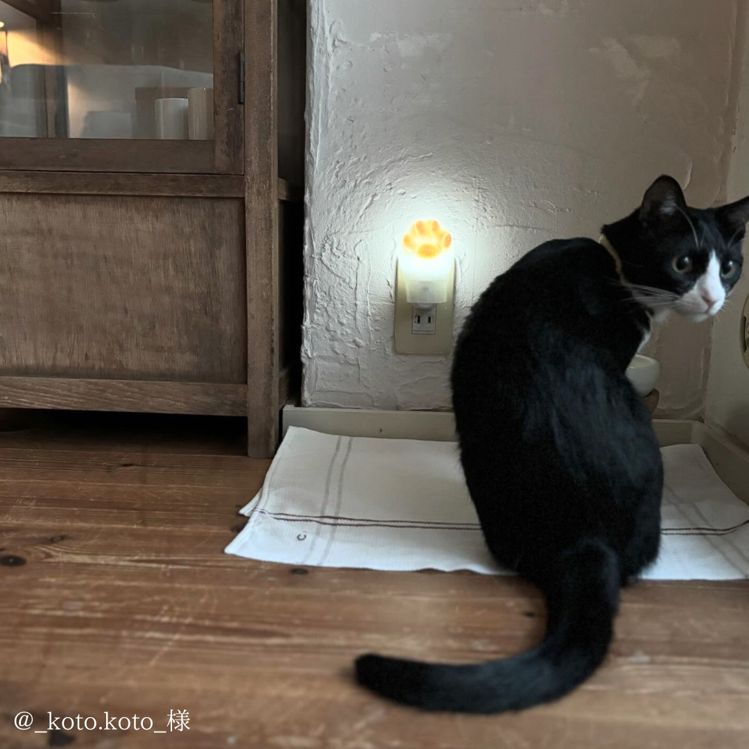 猫好きのための肉球ライト｜猫グッズ・猫雑貨のお店 PLADECO(プラデコ