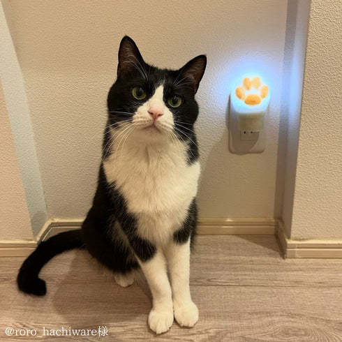 猫好きのための肉球ライトPaw(パウ)